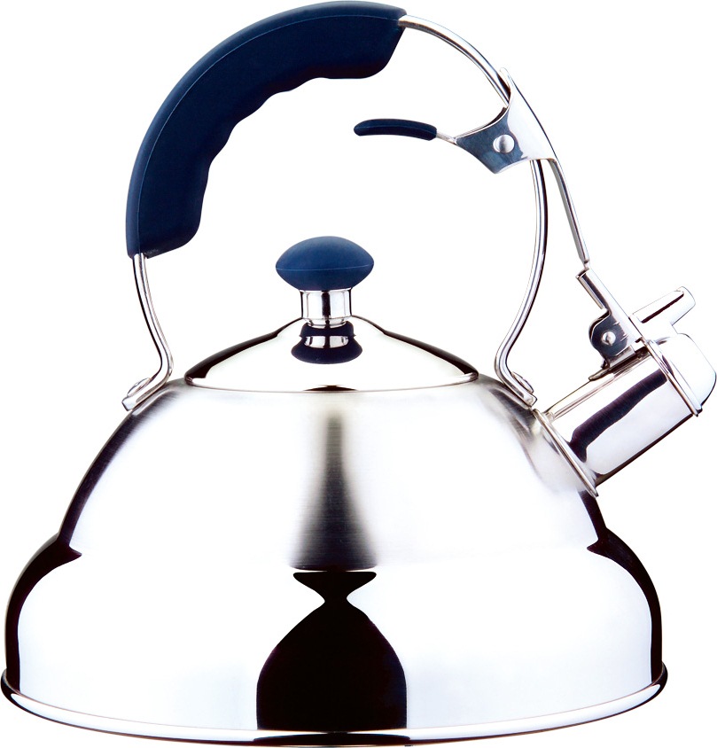 Stainless steel whistling kettle 5.0L, AQUATIC